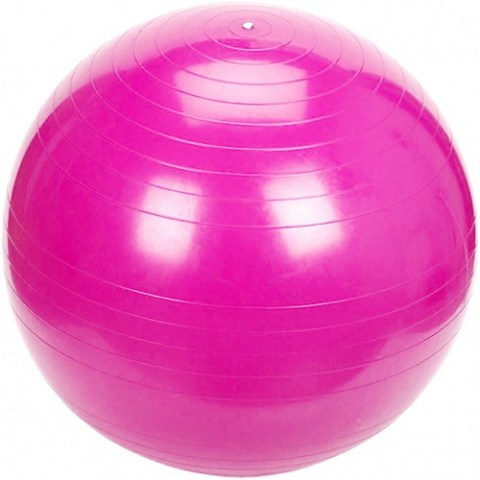 توپ جیم بال با قطر 75 سانتیمتر Fitnee Ball کد FB4