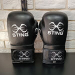 دستکش بوکس چرم STING کد Fighto (سایز 14OZ)