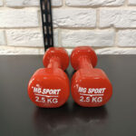 دمبل دو و نیم کیلویی MG-SPORT (یک جفت) - تصویر 2