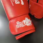 دستکش بوکس aiba  کد 2024 (12OZ) - تصویر 4