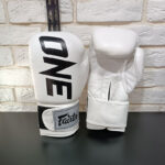 دستکش بوکس Fairtex  کد ONE-1 (سایز 12OZ) - تصویر 2
